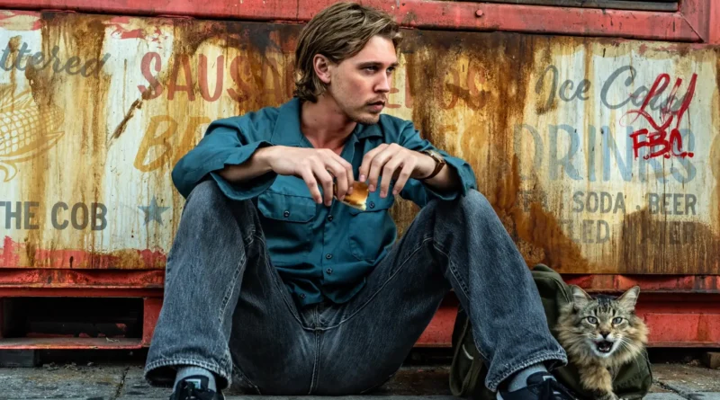 Austin Butler como Hank sentado en el suelo con un gato atigrado a su lado frente a una pared oxidada con grafitis en Atrapado Robando.